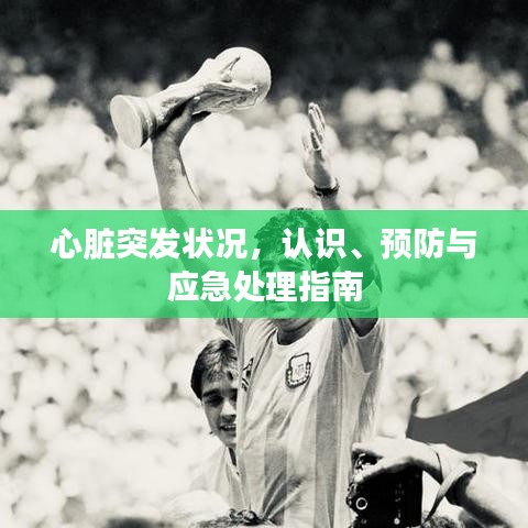 心臟突發(fā)狀況，認(rèn)識(shí)、預(yù)防與應(yīng)急處理指南