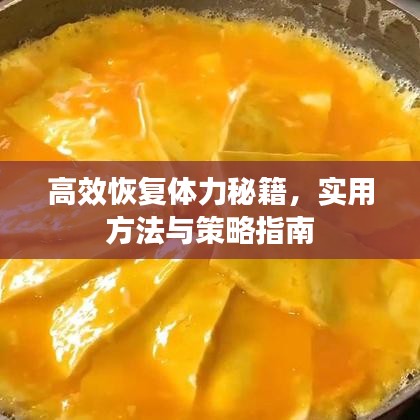高效恢復(fù)體力秘籍，實用方法與策略指南