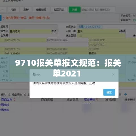 9710報關單報文規(guī)范：報關單2021 