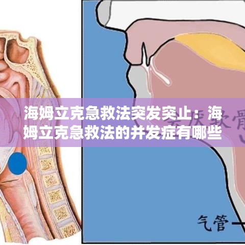 產(chǎn)品中心 第699頁
