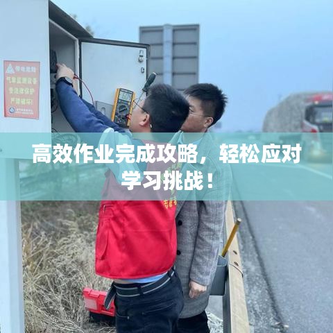 高效作業(yè)完成攻略，輕松應(yīng)對(duì)學(xué)習(xí)挑戰(zhàn)！