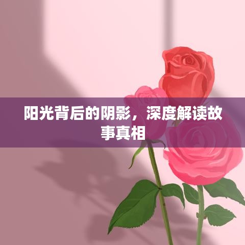 陽(yáng)光背后的陰影，深度解讀故事真相