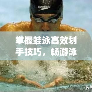 掌握蛙泳高效劃手技巧，暢游泳池?zé)o界限