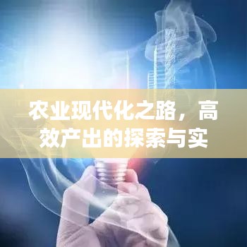 農(nóng)業(yè)現(xiàn)代化之路，高效產(chǎn)出的探索與實踐