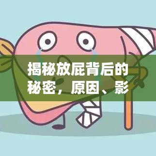 揭秘放屁背后的秘密，原因、影響與應(yīng)對方法