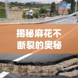 蠅聲蛙噪 第4頁