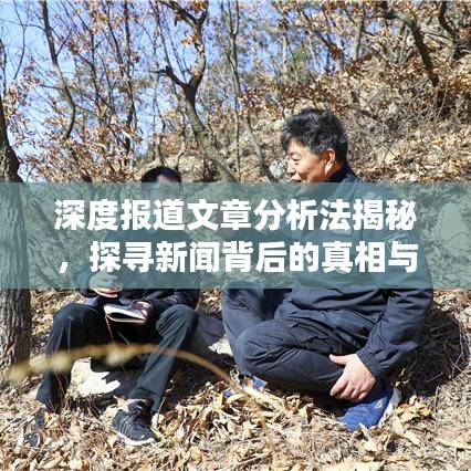 深度報道文章分析法揭秘，探尋新聞背后的真相與價值內(nèi)幕