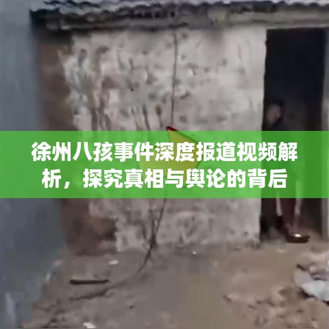 徐州八孩事件深度報(bào)道視頻解析，探究真相與輿論的背后
