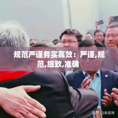 規(guī)范嚴謹務(wù)實高效：嚴謹,規(guī)范,細致,準確 