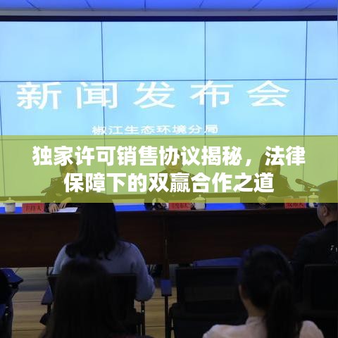獨(dú)家許可銷售協(xié)議揭秘，法律保障下的雙贏合作之道