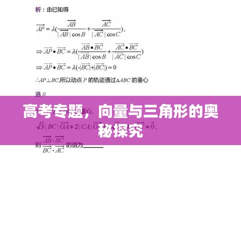 高考專題，向量與三角形的奧秘探究