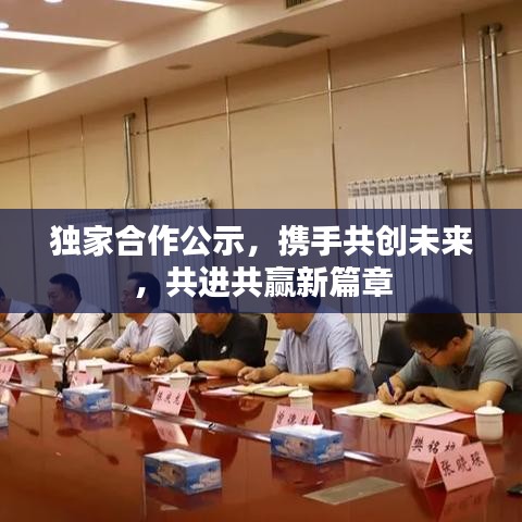 獨(dú)家合作公示，攜手共創(chuàng)未來(lái)，共進(jìn)共贏新篇章