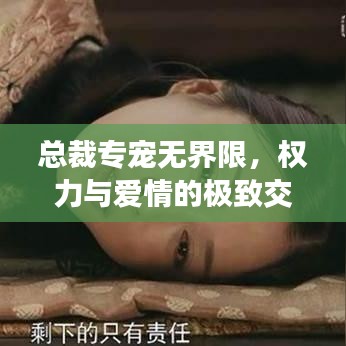 總裁專寵無界限，權力與愛情的極致交融