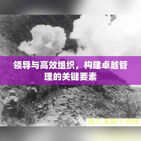 領(lǐng)導與高效組織，構(gòu)建卓越管理的關(guān)鍵要素