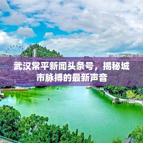武漢常平新聞?lì)^條號(hào)，揭秘城市脈搏的最新聲音