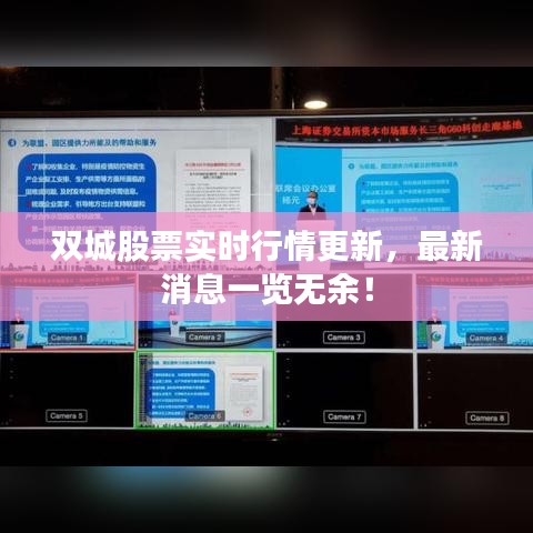 雙城股票實(shí)時(shí)行情更新，最新消息一覽無余！