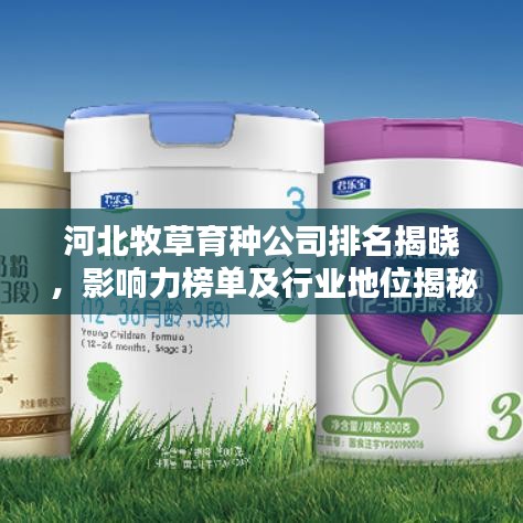 河北牧草育種公司排名揭曉，影響力榜單及行業(yè)地位揭秘