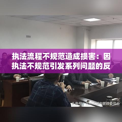 執(zhí)法流程不規(guī)范造成損害：因執(zhí)法不規(guī)范引發(fā)系列問題的反思,心得體會(huì) 