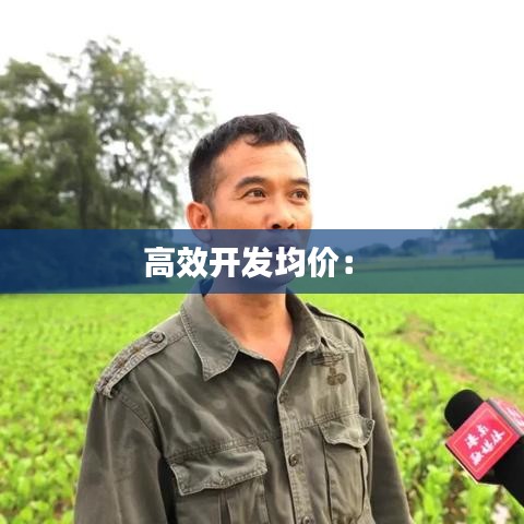 高效開發(fā)均價： 