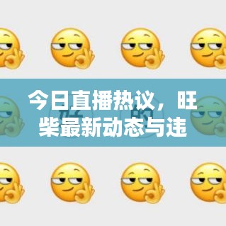 今日直播熱議，旺柴最新動(dòng)態(tài)與違法犯罪問(wèn)題探討深度解析