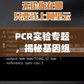 PCR實驗專題，揭秘基因組奧秘探索之旅