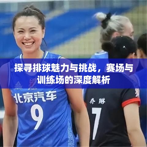 探尋排球魅力與挑戰(zhàn)，賽場與訓(xùn)練場的深度解析