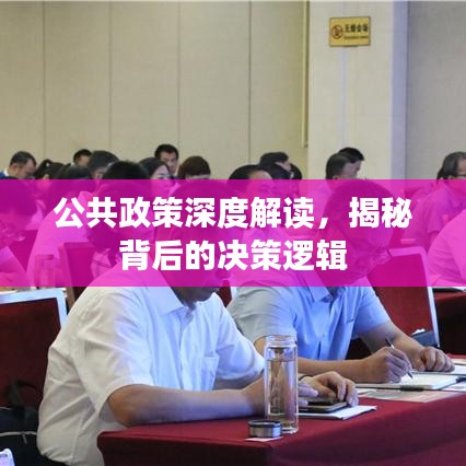 公共政策深度解讀，揭秘背后的決策邏輯