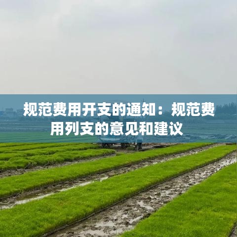 規(guī)范費(fèi)用開(kāi)支的通知：規(guī)范費(fèi)用列支的意見(jiàn)和建議 