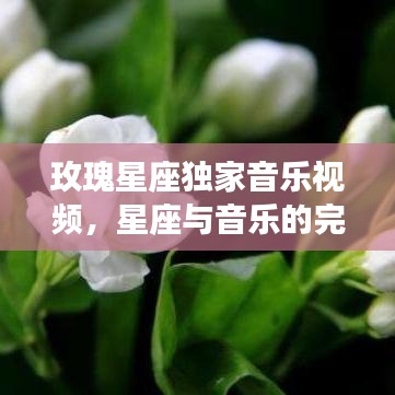 玫瑰星座獨家音樂視頻，星座與音樂的完美交融
