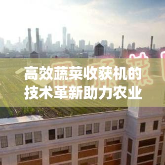 高效蔬菜收獲機的技術革新助力農(nóng)業(yè)現(xiàn)代化應用