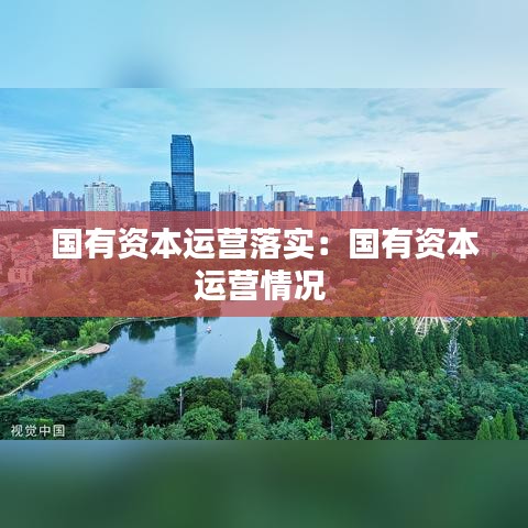國有資本運(yùn)營落實：國有資本運(yùn)營情況 