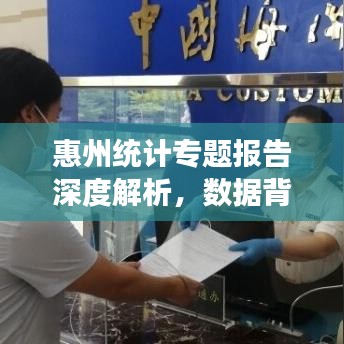 惠州統(tǒng)計(jì)專題報(bào)告深度解析，數(shù)據(jù)背后的真相與洞察