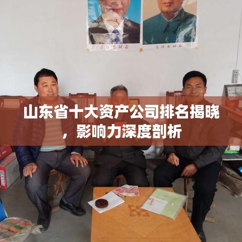山東省十大資產(chǎn)公司排名揭曉，影響力深度剖析