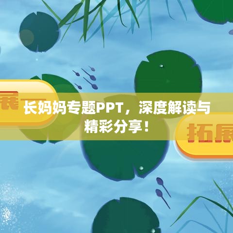 長媽媽專題PPT，深度解讀與精彩分享！
