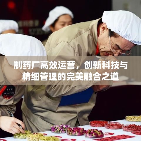 制藥廠高效運營，創(chuàng)新科技與精細管理的完美融合之道
