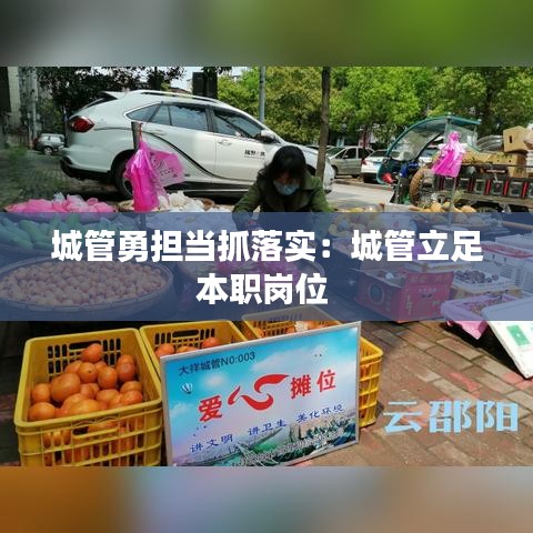 城管勇擔當抓落實：城管立足本職崗位 