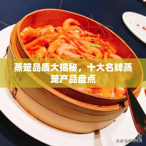蒸籠品質(zhì)大揭秘，十大名牌蒸籠產(chǎn)品盤(pán)點(diǎn)