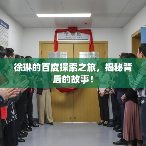 徐琳的百度探索之旅，揭秘背后的故事！