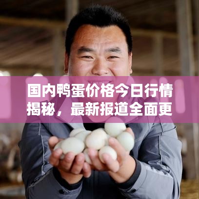 國內(nèi)鴨蛋價(jià)格今日行情揭秘，最新報(bào)道全面更新
