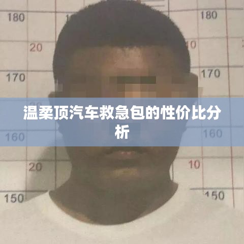 溫柔頂汽車救急包，性價(jià)比解析