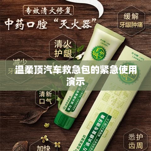 溫柔頂汽車救急包緊急使用指南，演示篇