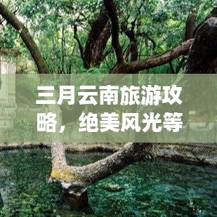 三月云南旅游攻略，絕美風(fēng)光等你來探！