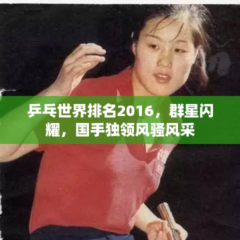乒乓世界排名2016，群星閃耀，國手獨領(lǐng)風(fēng)騷風(fēng)采