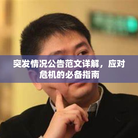 突發(fā)情況公告范文詳解，應(yīng)對(duì)危機(jī)的必備指南