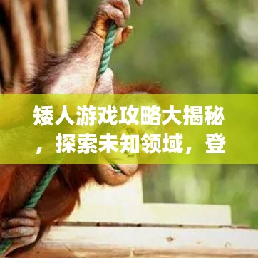 矮人游戲攻略大揭秘，探索未知領(lǐng)域，登頂頂尖玩家之路！