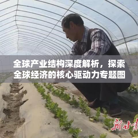 全球產(chǎn)業(yè)結(jié)構(gòu)深度解析，探索全球經(jīng)濟(jì)的核心驅(qū)動(dòng)力專題圖書(shū)