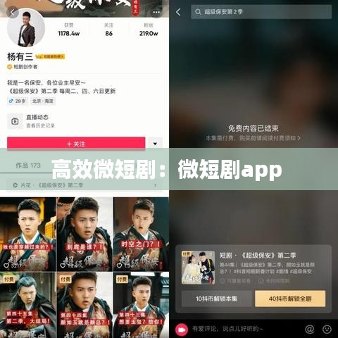高效微短?。何⒍虅pp 