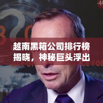 越南黑箱公司排行榜揭曉，神秘巨頭浮出水面