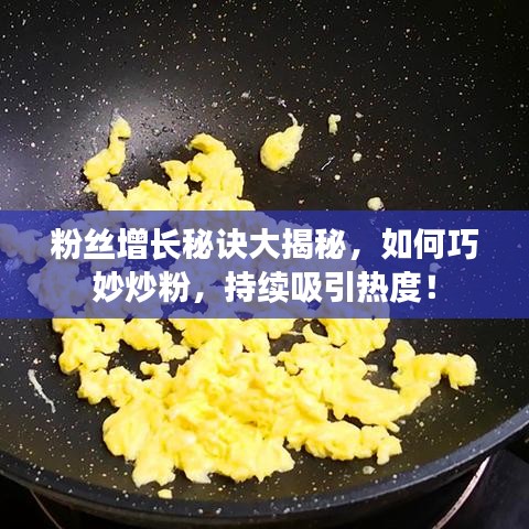粉絲增長秘訣大揭秘，如何巧妙炒粉，持續(xù)吸引熱度！