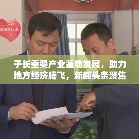 子長(zhǎng)蠶桑產(chǎn)業(yè)蓬勃發(fā)展，助力地方經(jīng)濟(jì)騰飛，新聞?lì)^條聚焦蠶桑產(chǎn)業(yè)新動(dòng)態(tài)